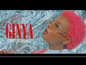 African Wine – GINYA
